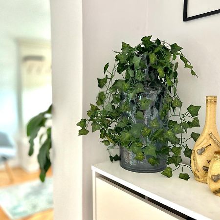 Travellers Apartment Kluż-Napoka Zewnętrze zdjęcie