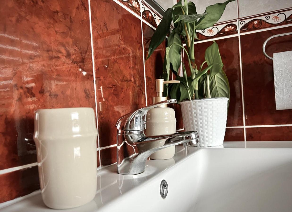 Travellers Apartment Kluż-Napoka Zewnętrze zdjęcie