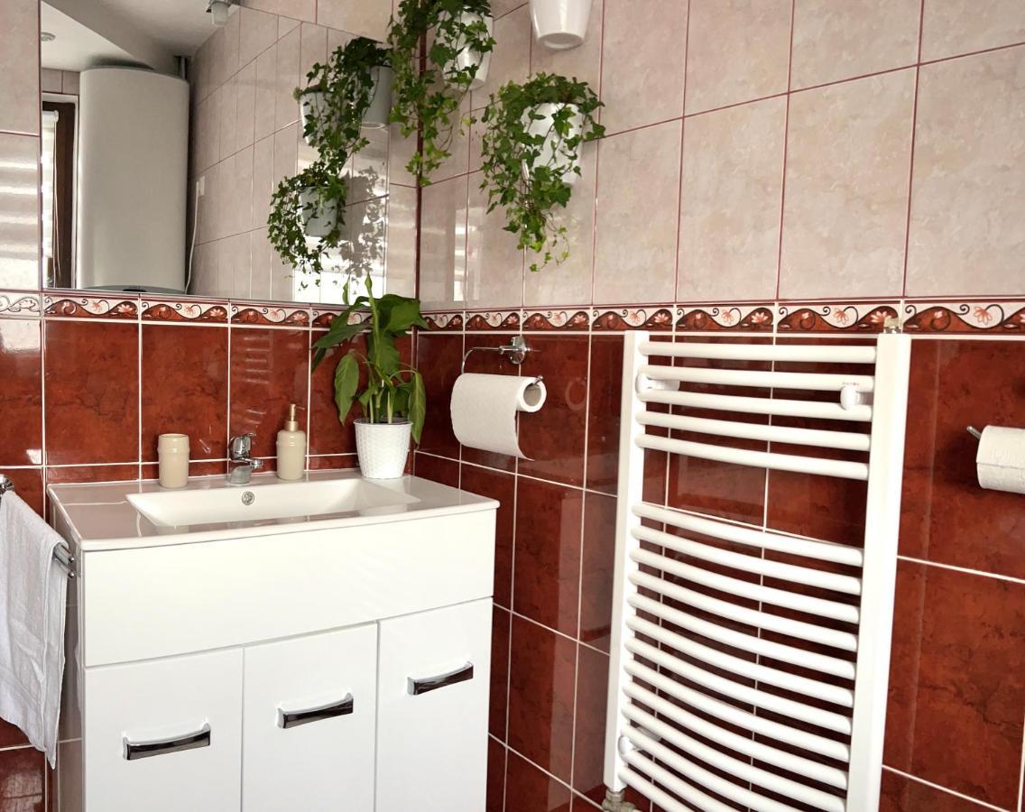 Travellers Apartment Kluż-Napoka Zewnętrze zdjęcie