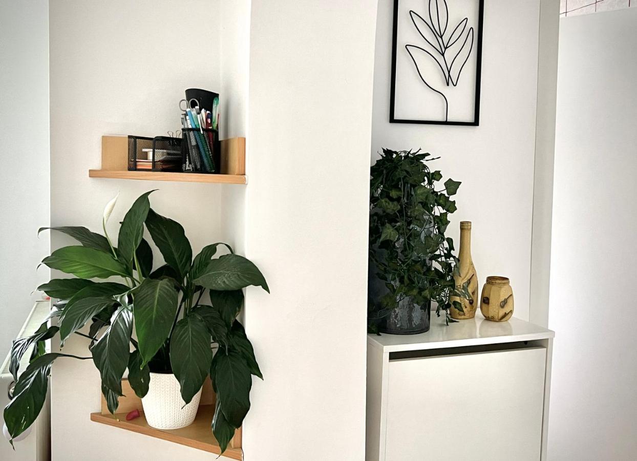 Travellers Apartment Kluż-Napoka Zewnętrze zdjęcie