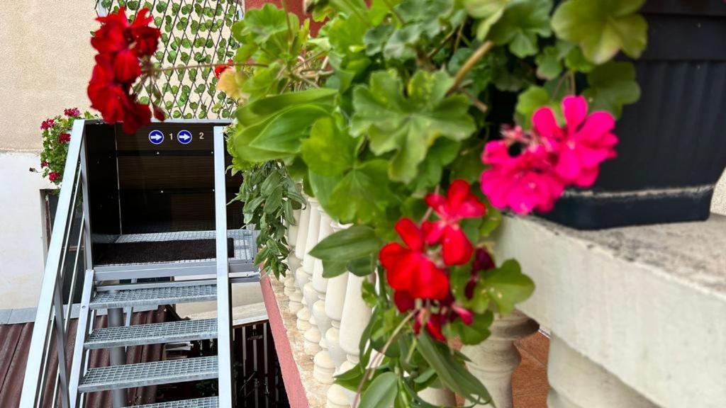 Travellers Apartment Kluż-Napoka Zewnętrze zdjęcie